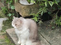 -老屋咖啡