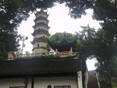 -苏州上方山国家森林公园