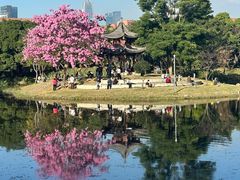 -四海公园(南山区)