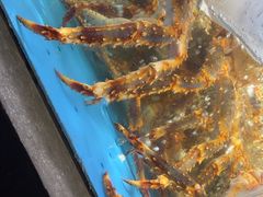 -徐记海鲜(大雁塔|金都店)