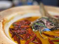 -丹江渔村(望京店)