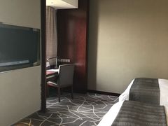 -常州环球恐龙城维景国际大酒店