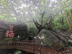 -七仙岭温泉国家森林公园