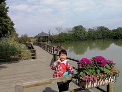 -大湾区中央湿地公园