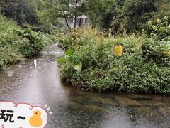 -重庆彩云湖湿地公园