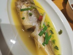 黄鱼-新荣记(西溪湿地店)