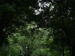 -木塔寺遗址生态公园