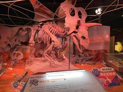 -正佳自然科学博物馆