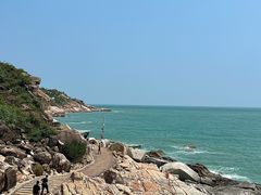 -广东惠东海龟国家级自然保护区