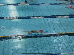 -七宝中学游泳馆