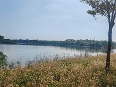 -天津东丽湖风景区