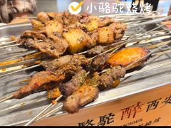 -福苗小骆驼烧烤(莲湖路店)