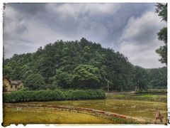 -韶山毛泽东同志故居