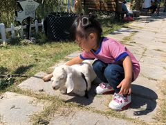 -上海滴水湖皇冠假日酒店