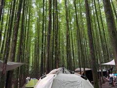 -山王坪喀斯特国家生态公园