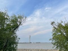 -上海吴淞炮台湾国家湿地公园