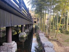 -大唐贡茶院