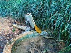 -杭州半山国家森林公园