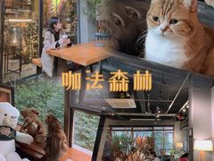 -咖法森林·咖啡  酒吧(天河店)