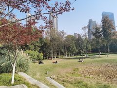 -后襄河公园