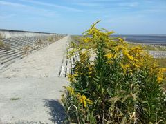 android_upload_pic-南汇嘴观海公园