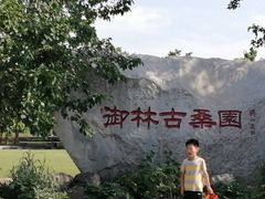 -御林古桑园