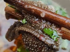 鲜毛肚-六公里老火锅(总店)