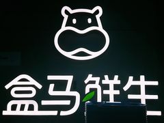 -盒马鲜生(大行宫店)