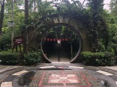 -广西壮族自治区药用植物园