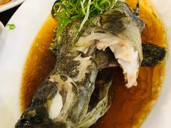-金河半岛园林酒家(金融城店)