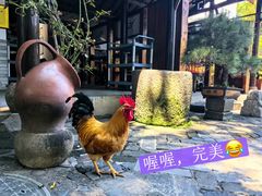 -木子山庄·安徽省老字号·中国炖锅宴