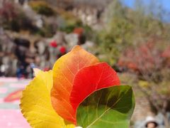 -周口店坡峰岭风景区