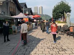 -大渡口区义渡公园