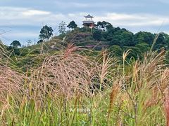 -马峦山郊野公园
