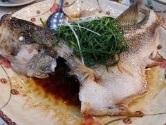 清蒸鲈鱼-新辉港式茶餐厅(北栅店)