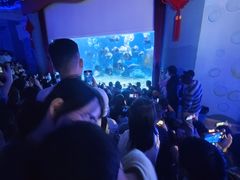 -台州海洋世界