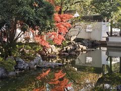 -秋霞圃