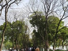 -苏堤停车场