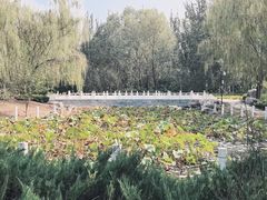 -廊坊市自然公园