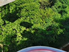 -青岛中山公园-索道售票处