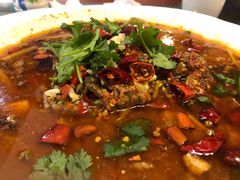 水煮牛肉-飞虹鱼馆(春华路店)