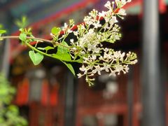 -保定直隶总督署博物馆