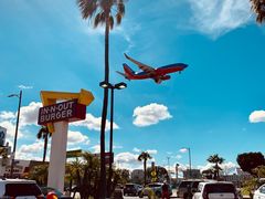 -In-N-Out Burger(LAX)