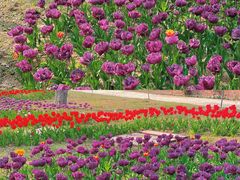 -祥源·阜阳生态乐园