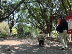 -大梅沙海滨公园