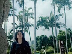 -宝安西湾红树林湿地公园