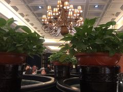 -金春禧(世茂国际广场店)