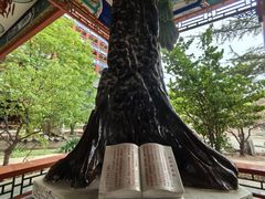 -大明幻境第一城