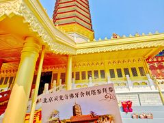 -八大处公园