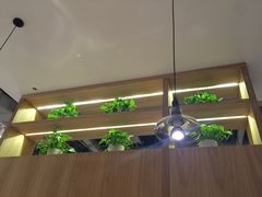 -大碗先生(万家丽店)